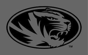 Athletic tiger head in black on gray