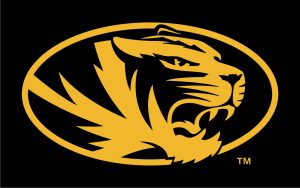 Athletic tiger head in gold on black