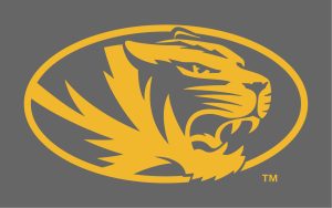Athletic tiger head in gold on gray