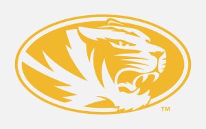 Athletic tiger head in gold on white